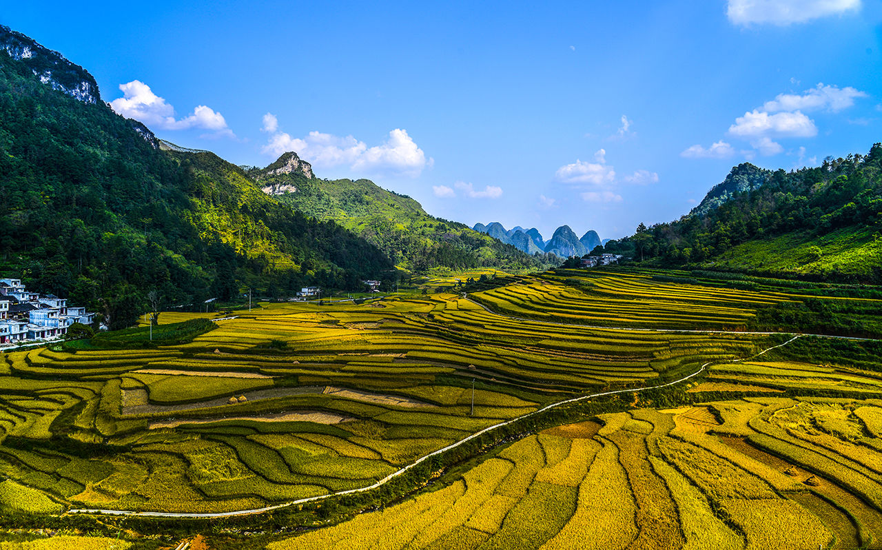 巴泽梯田